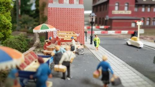 Aktuelle Projekte
